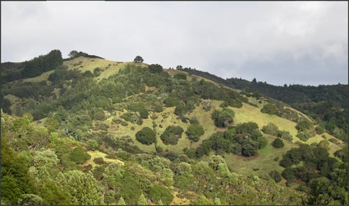 North Coast Range