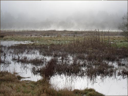 Humboldt Bay