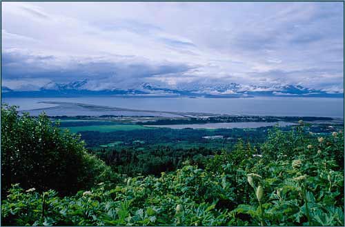 Homer area Mountains