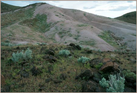 Mojave Desert