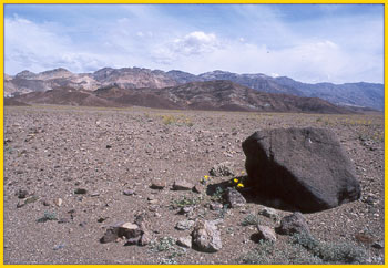 Mojave Desert