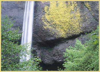 Latourell Falls