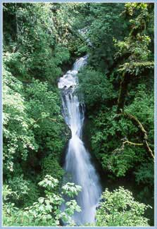 Young Creek Waterfall